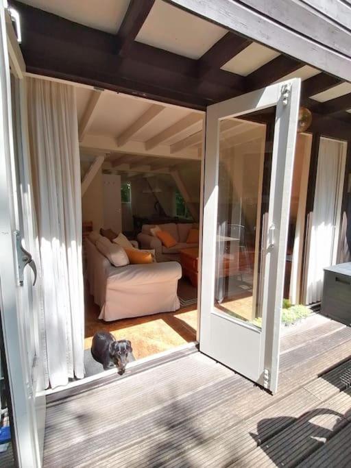 La Cabane, דורבורי מראה חיצוני תמונה
